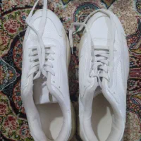 کفش مردانه|کیف، کفش، کمربند|گلبهار, شهر جدید گلبهار|دیوار