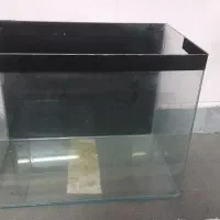 آکواریوم شیشه خم