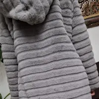 پالتوپشمی|لباس|شاهینشهر, حافظ شمالی|دیوار