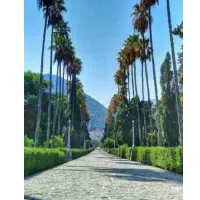 265مترزمین-فونداسیون-آماده-درساداتشهر
