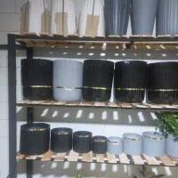 گل وگلدان|گل و گیاه طبیعی|اسلامآباد غرب, |دیوار