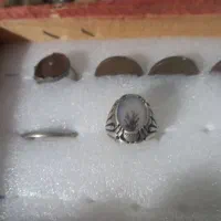 انگشتر نقره شجر کلکسیونی