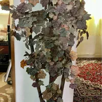 درختچه پاییزی مناسب منزل دفترکار کافه سفره خانه