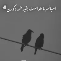 هرکسی نیاز به اسکان داره درخدمتم رایگان .