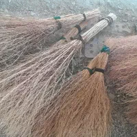 جارو دستی|لوازم نظافت|سلماس, |دیوار