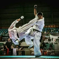 آموزش مبارزات آزاد کیوکوشین