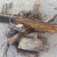 چوب خشک بلوط در گونی بسیار ضخیم|خدمات باغبانی و درختکاری|فلارد, |دیوار