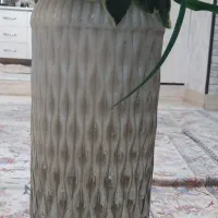 کاملا سالم ونو|گل مصنوعی|زاهدان, |دیوار