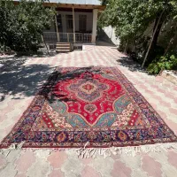 فرش دستباف ۱۲ متره|فرش|سمنان, |دیوار