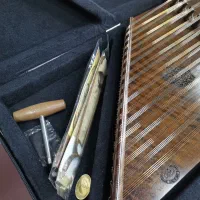 سنتور حرفه ای/ صادقی