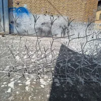 حفاظ دیواری برای باغ و منازل