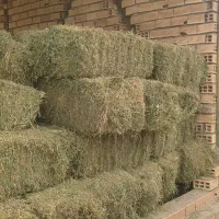 پرس یونجه