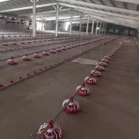 صفرتاصد لوازم و نصب مرغداری گوشتی|ماشینآلات صنعتی|الشتر, |دیوار