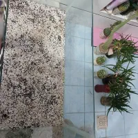 آکواریوم|ماهی|مبارکه, |دیوار