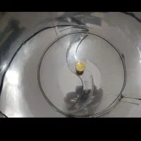 خردکردن سبزی