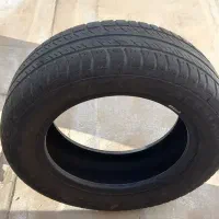 لاستیک ساینا