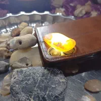 انواع مدل سنگ فسیل وغیره