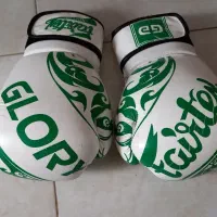 دستکش بوکس و کیک بوکسینگ