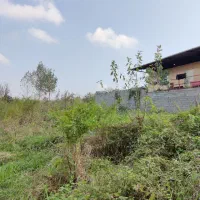 زمین قابل ساخت باانشعابات دربابلکنار|فروش دفتر صنعتی، کشاورزی، تجاری|مرزیکلا, |دیوار