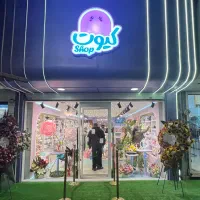 کارشناس چیدمان و دیزاین فروشگاهی