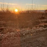 باغ|فروش زمین و ملک کلنگی|شیراز, کودیان|دیوار