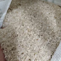 برنج لاشه فجر|خوردنی و آشامیدنی|بندر ترکمن, |دیوار