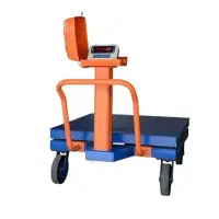 فروش انواع باسکول های میدانی اطمینان و بی نظیر|فروشگاه و مغازه|یزد, |دیوار