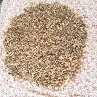 ثعلب کوهی