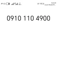 09101104900  09101105900