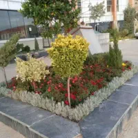 باغبانی باغچه کاری گل کاری.هرس کاری.گل وگیاه.هروی|خدمات باغبانی و درختکاری|تهران, تهرانپارس غربی|دیوار