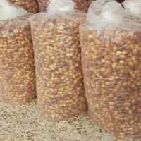 خرما قصب (زاهدی) ۲ تن