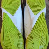 کفش سالنی آدیداس پریدیتور اصل|کیف، کفش، کمربند|هشترود, |دیوار