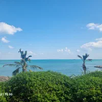 استخدام در آشپزخانه