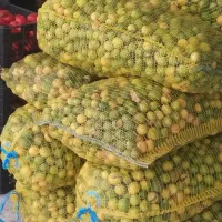 آبلیمو آبغوره خالص امسالی تازه سرکه سیب انگور|خوردنی و آشامیدنی|یزد, |دیوار