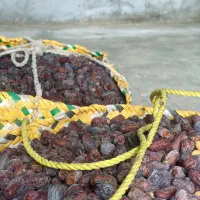 خرید خرمای پیارم درجه یک