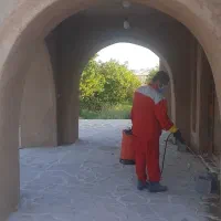 سمپاشی موریانه زدایی سم پاشی سوسک ساس|خدمات نظافت|بندر ماهشهر, |دیوار