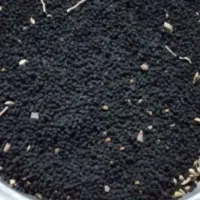 فروش نخود سیاه