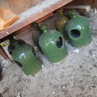 به شرط سالم بودن میفروشم