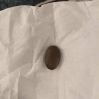 نگین انگشتر|جواهرات|بوشهر, |دیوار