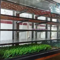 وسایل قنادی