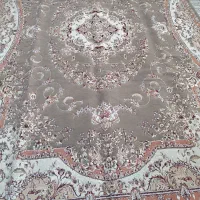 مناسب قیمت سالم و شسته شده