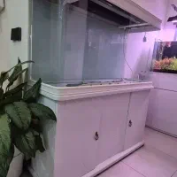 اکواریوم کاملا سالم در حد نوه