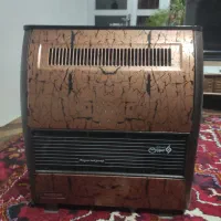 بخاری سوزان9001