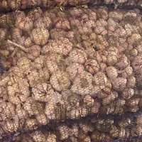 سیر خشک شده ضایعات پاک شده تمیز توری