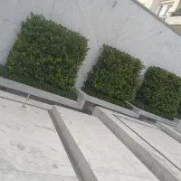 خدمات باغبانی هرسکاری گلکاری بیلزنی خاک گلدون