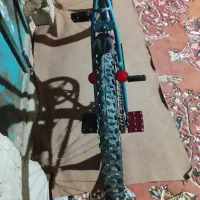 دوچرخه 26 آساک|دوچرخه، اسکیت، اسکوتر|هامون, |دیوار