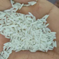 برنج دم‌سیاه بوجار صفر