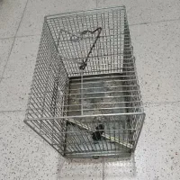 قفس پرنده|لوازم جانبی حیوانات|سنندج, |دیوار