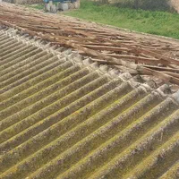 خریدار ایرانیت سیمانی و حلبی