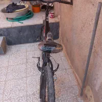 دوچرخه ۲۶|دوچرخه، اسکیت، اسکوتر|شوشتر, |دیوار